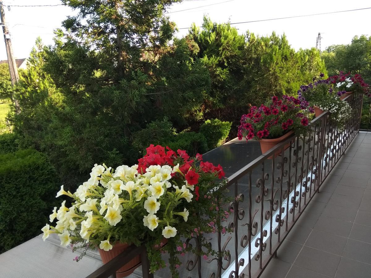 Anna Ilona Vendégház Badacsonytomaj Exterior foto